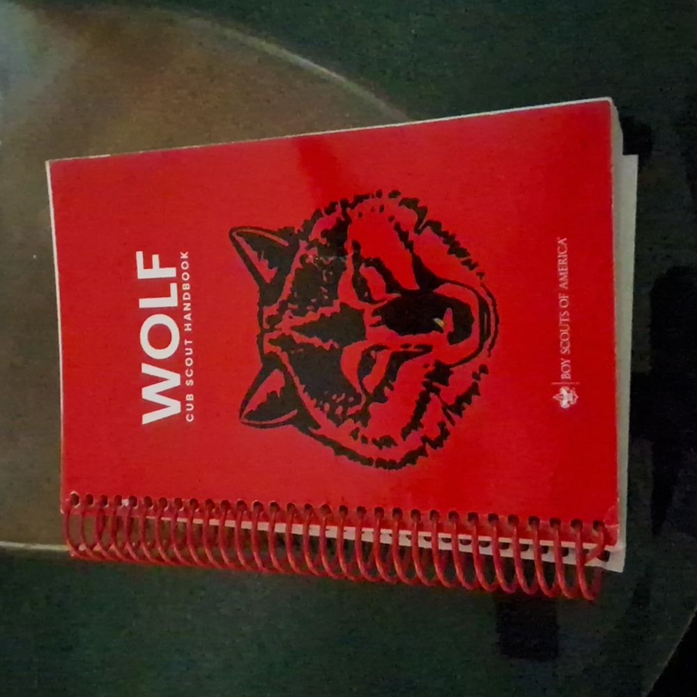 Boy Scout Book,Like new